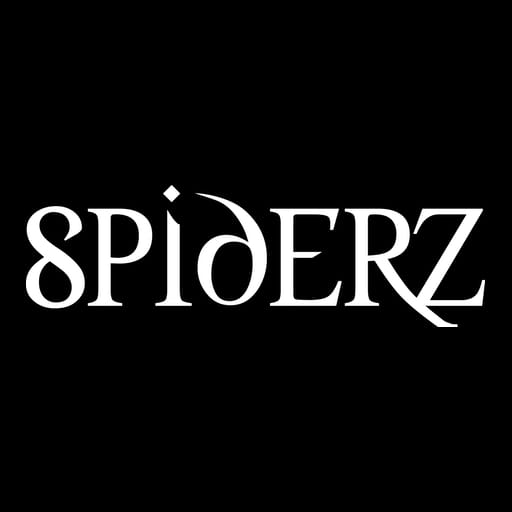 Dubai web design services company - Spiderz